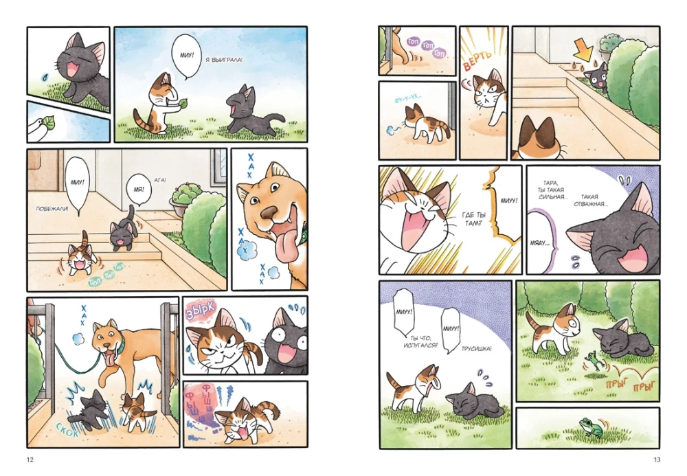 Сью и Тайчик. Книга 4