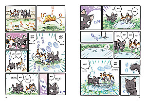 Сью и Тайчик. Книга 4