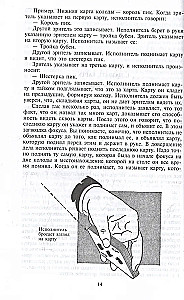 Fascynacje. Sztuczki z kartami i przedmiotami codziennego użytku