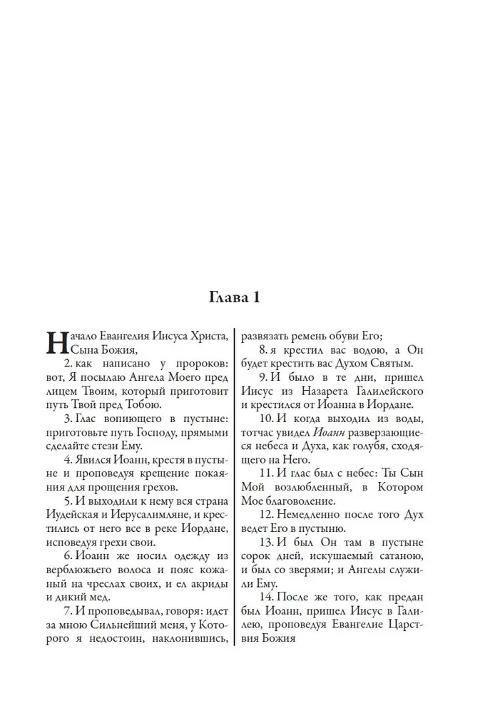 Biblia. Nowy Testament grafiki Dürera