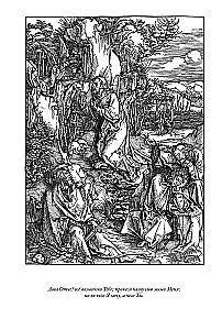 Biblia. Nowy Testament grafiki Dürera