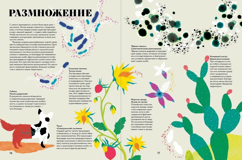 Cudowna księga życia