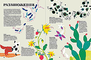 Cudowna księga życia