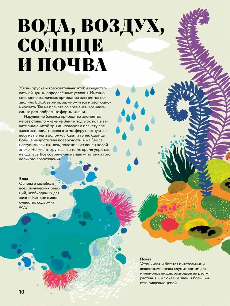 Cudowna księga życia