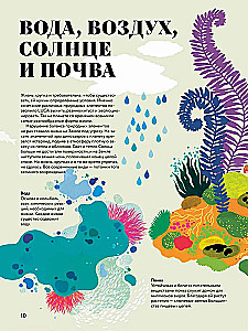 Cudowna księga życia