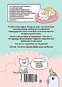 Котёнок Наби. Я умываю лапы!