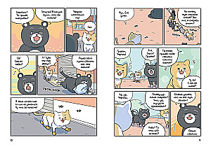 Котёнок Наби. Я умываю лапы!