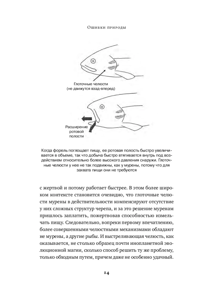 Nature's Mistakes: The Limits and Imperfection of Natural Selection