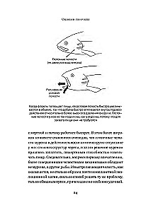 Nature's Mistakes: The Limits and Imperfection of Natural Selection