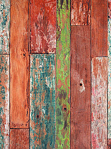 Japońsko-rosyjski słownik wizualny