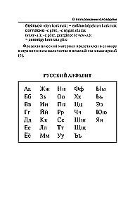 Popular Turkish-Russian Russian-Turkish Dictionary