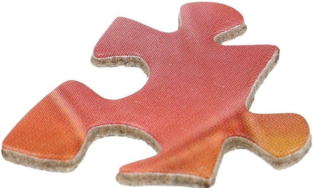 Пазлы классические в коробке. Кот на закате. 1000 деталей