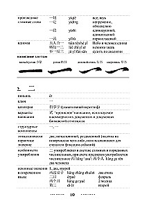 300 svarbiausių kinų hieroglifų: supaprastinti ir tradiciniai rašymai