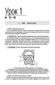 Kinijos kalba. Geriausias savarankiškas mokymasis + garso programa