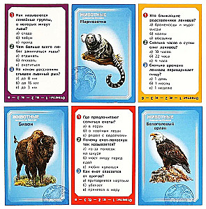 Board Game - Animals of Planet Earth
