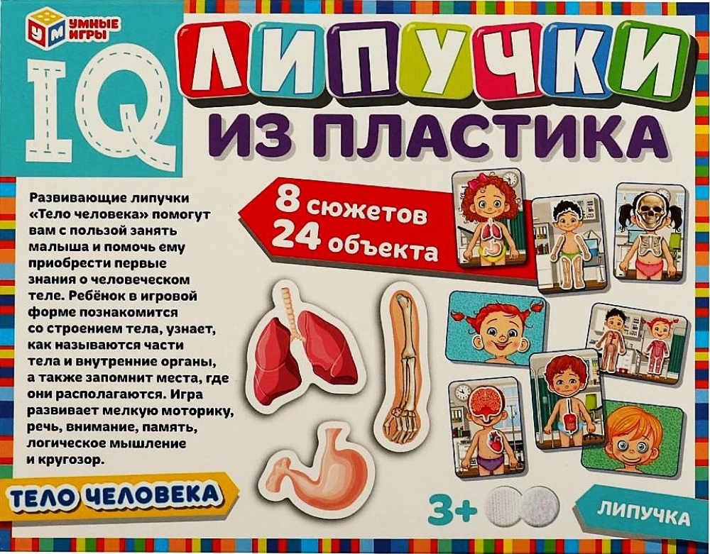 IQ-липучки из пластика - Тело человека