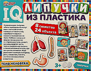 IQ-липучки из пластика - Тело человека