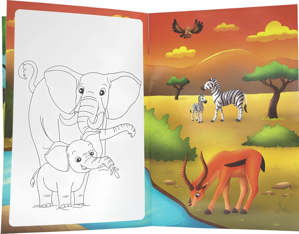 Wild Animals. Reusable Water Coloring Book