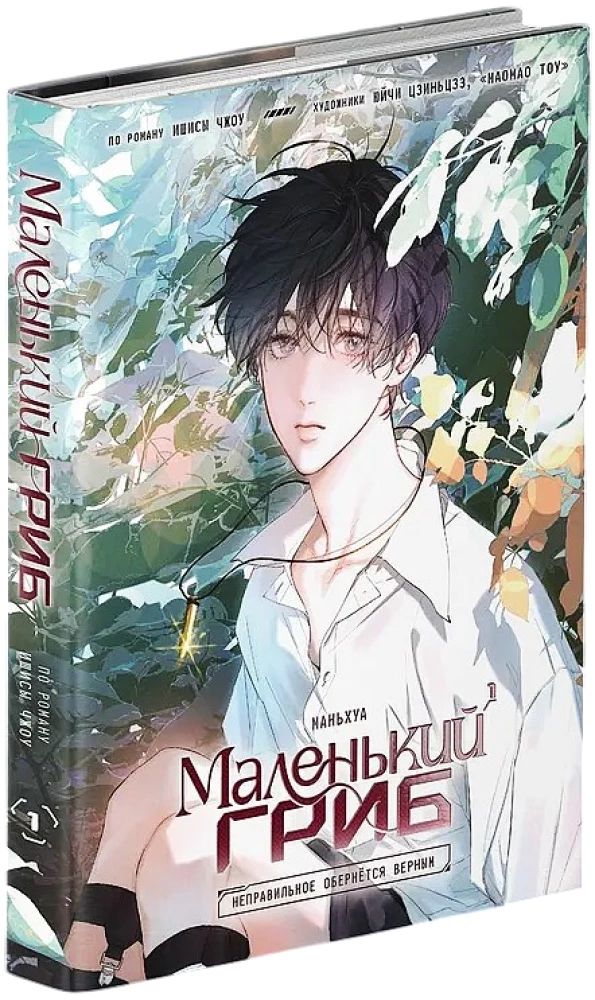 Маленький гриб. Том 1