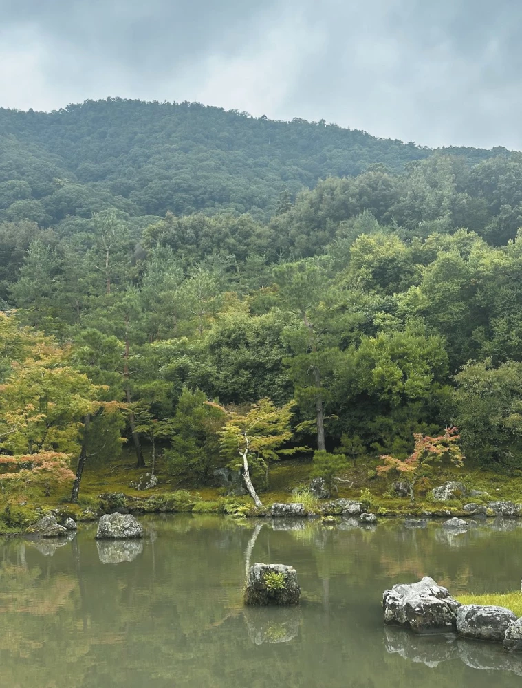 Kokoro. Japanese Art of Gentle Change