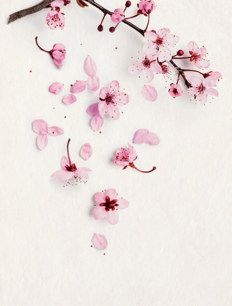 Kokoro. Japanese Art of Gentle Change