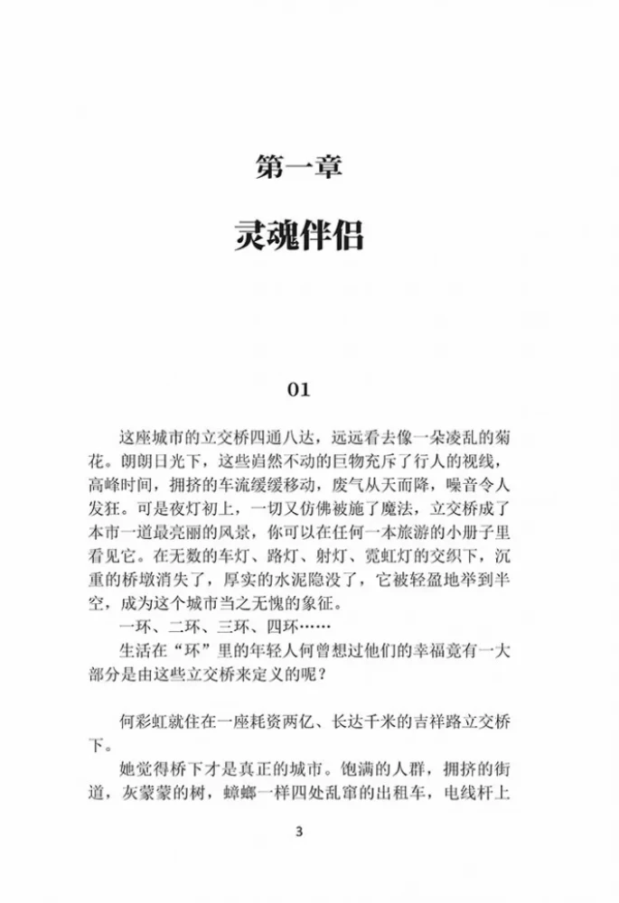 Priekšsēdētāja varavīksne. Grāmata lasīšanai ķīniešu valodā