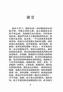 Vēja troksnis | Grāmatas ķīniešu valodā