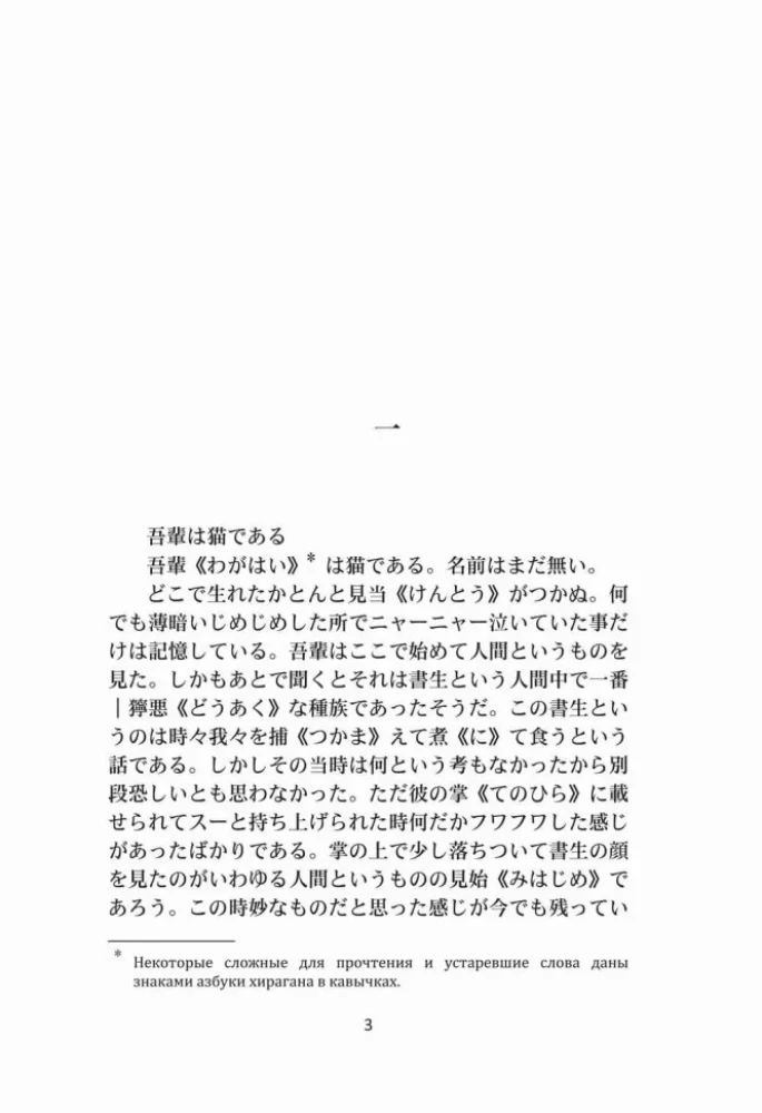 I Am a Cat | Books in Japanese