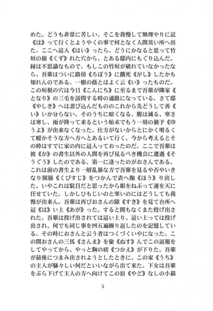 I Am a Cat | Books in Japanese