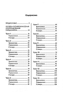 Турецкий язык. Начальный курс