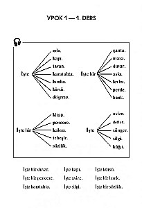 Турецкий язык. Начальный курс