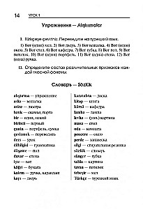 Турецкий язык. Начальный курс