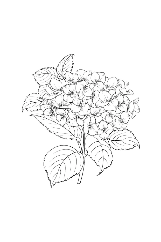 Einzigartige Blumen. Anti-Stress Ausmalbuch mit Spiralbindung