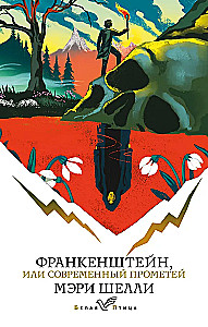 Frankenstein oder Der moderne Prometheus