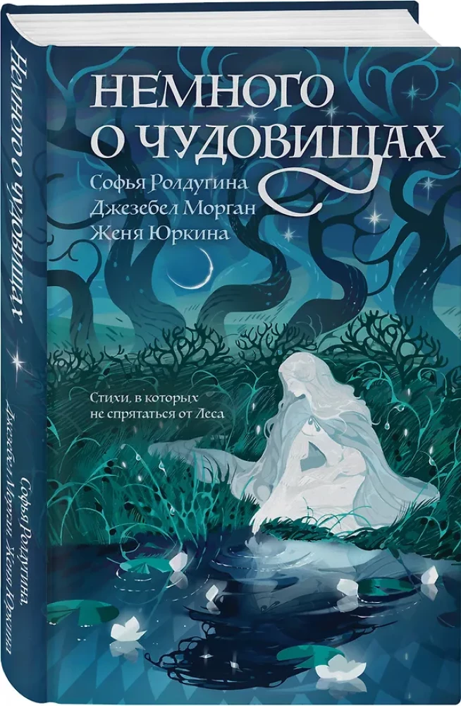 A Little About Monsters