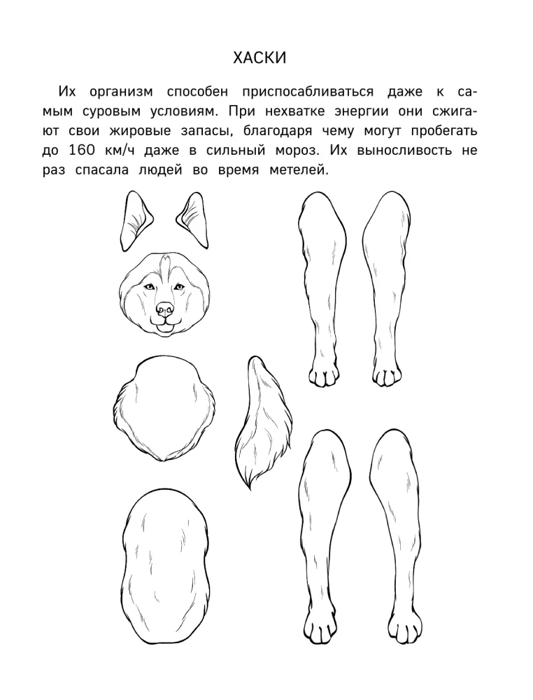 Бумажный Новый год. Вырежи, раскрась, играй. 12 готовых схем