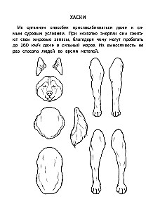 Бумажный Новый год. Вырежи, раскрась, играй. 12 готовых схем