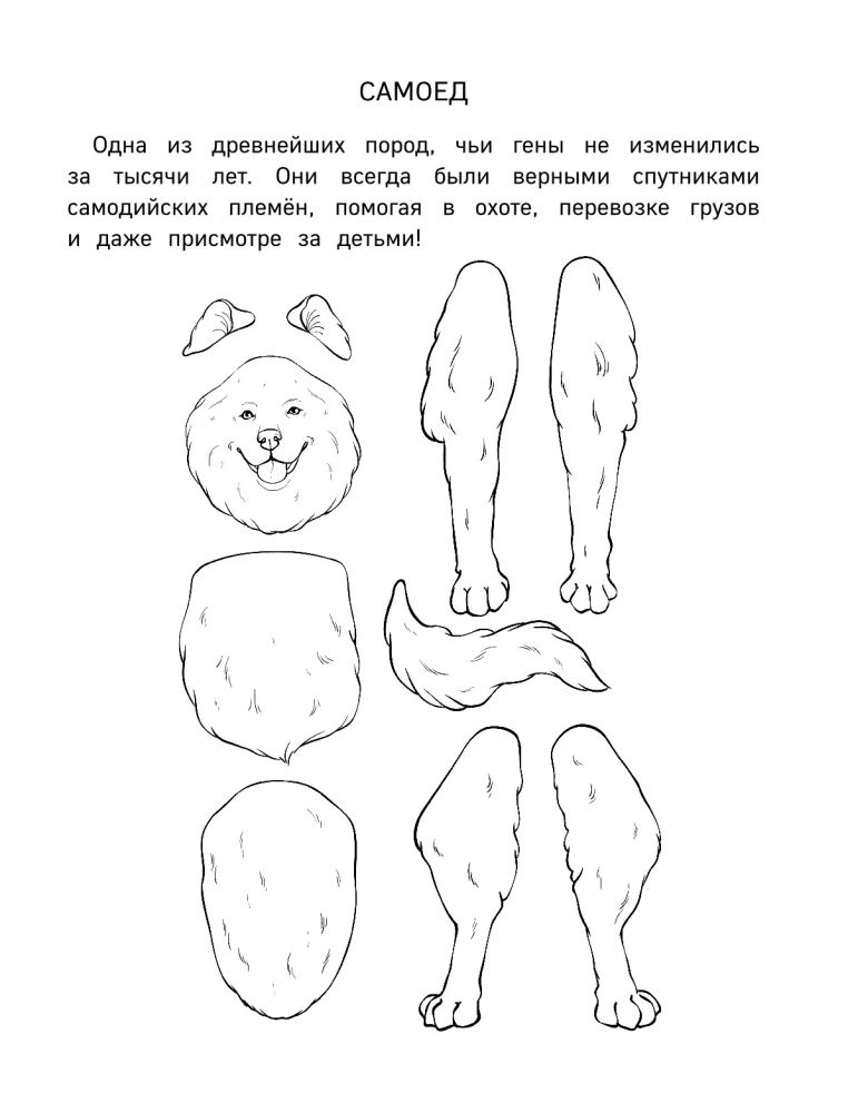 Бумажный Новый год. Вырежи, раскрась, играй. 12 готовых схем