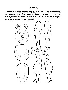 Бумажный Новый год. Вырежи, раскрась, играй. 12 готовых схем