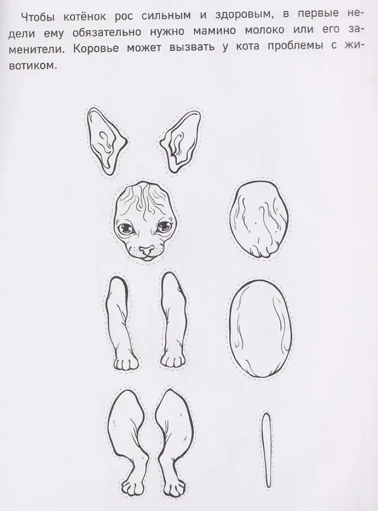 Бумажные котята в шапочках. Вырежи, раскрась, играй. 12 готовых схем