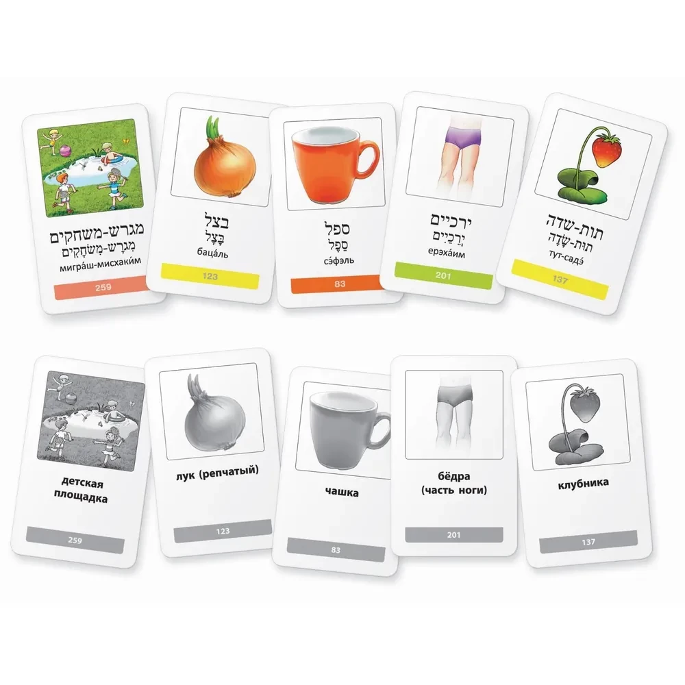Мои первые слова на иврите.  333 карточки для запоминания