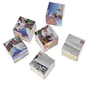 Paw Patrol. Set of 6 Cubes