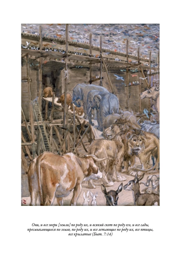 Die Bibel. Altes Testament Buch 1 und 2. Neues Testament (Set von 3 Büchern)