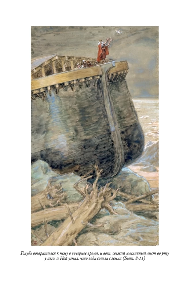 Die Bibel. Altes Testament Buch 1 und 2. Neues Testament (Set von 3 Büchern)