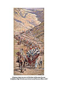 Die Bibel. Altes Testament Buch 1 und 2. Neues Testament (Set von 3 Büchern)