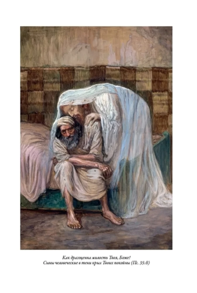 Die Bibel. Altes Testament Buch 1 und 2. Neues Testament (Set von 3 Büchern)