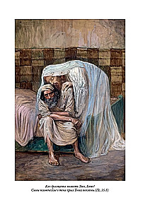 Die Bibel. Altes Testament Buch 1 und 2. Neues Testament (Set von 3 Büchern)