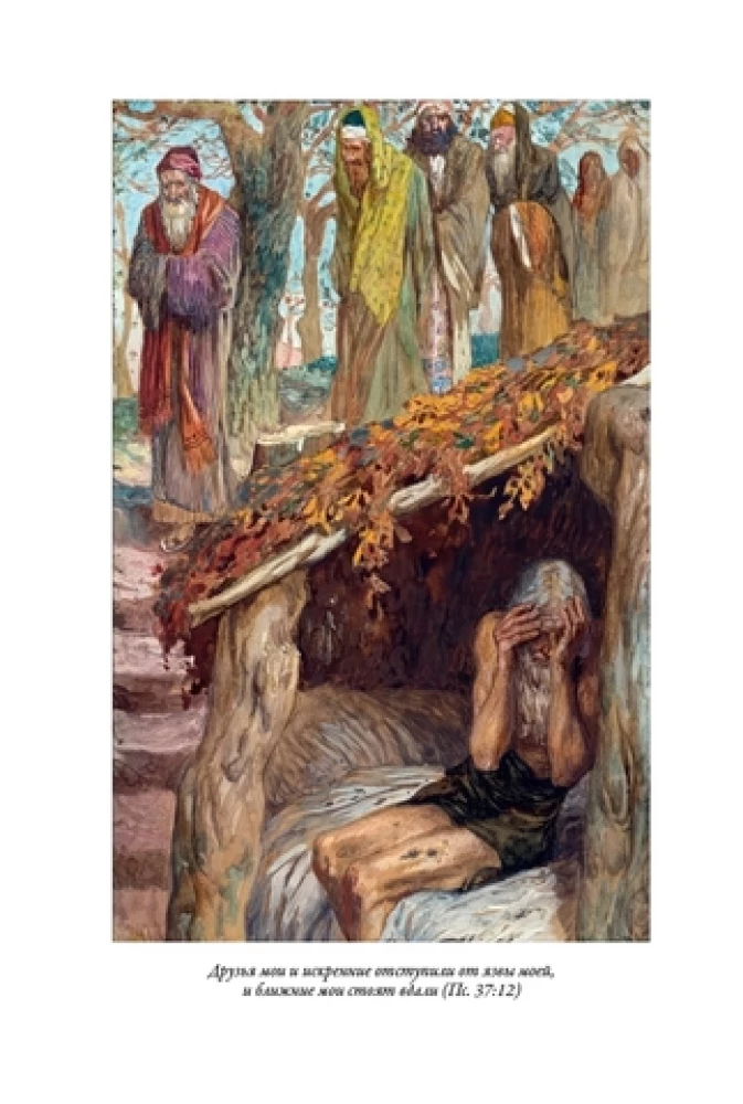 Die Bibel. Altes Testament Buch 1 und 2. Neues Testament (Set von 3 Büchern)