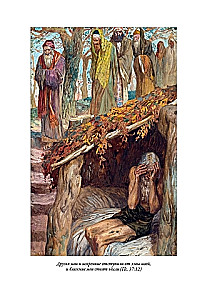 Die Bibel. Altes Testament Buch 1 und 2. Neues Testament (Set von 3 Büchern)