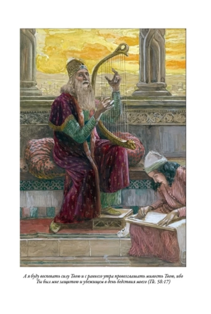 Die Bibel. Altes Testament Buch 1 und 2. Neues Testament (Set von 3 Büchern)